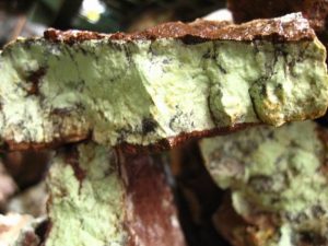 28 255 Lemon Chrysopras Matrix