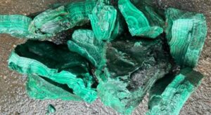 53 314, Malachite, Gestreift, Kongo
