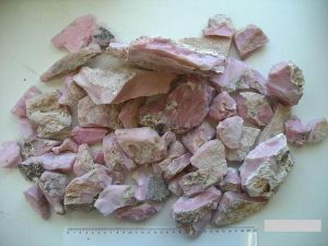 61-284_Opalrosa_f0003fce91d97e9290166fad8a3093ba