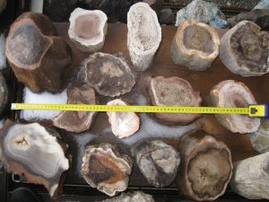 92 204 Brasil Holz 0017
