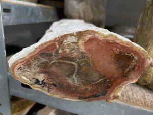 92 205 Titea Holz Brasil 0007